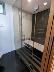 Park Infinia At Wee Nam (D11), Condominium #559353501